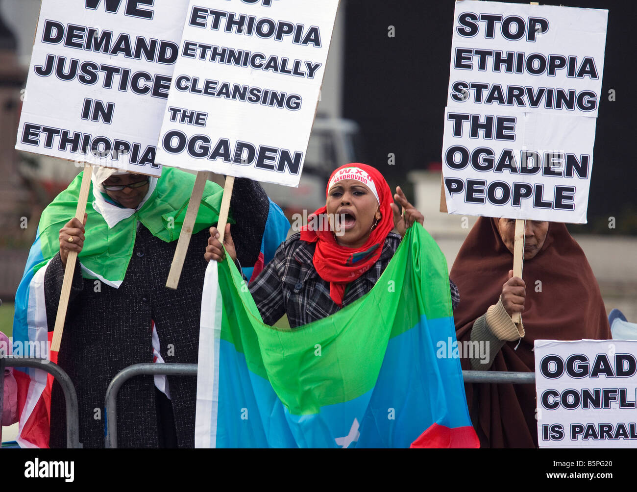 Äthiopien-Protest in Bundesplatz 14 - 12. November 2008 Stockfoto