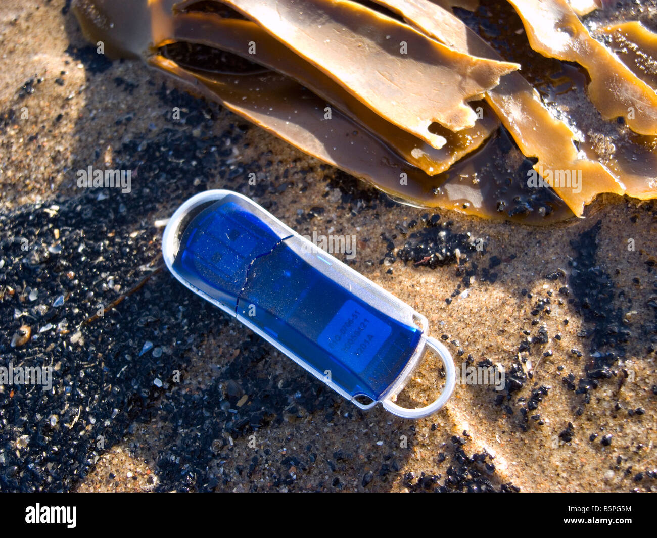 Ein digitalen Computer-Memory-Stick verloren an einem Sandstrand mit Algen Stockfoto