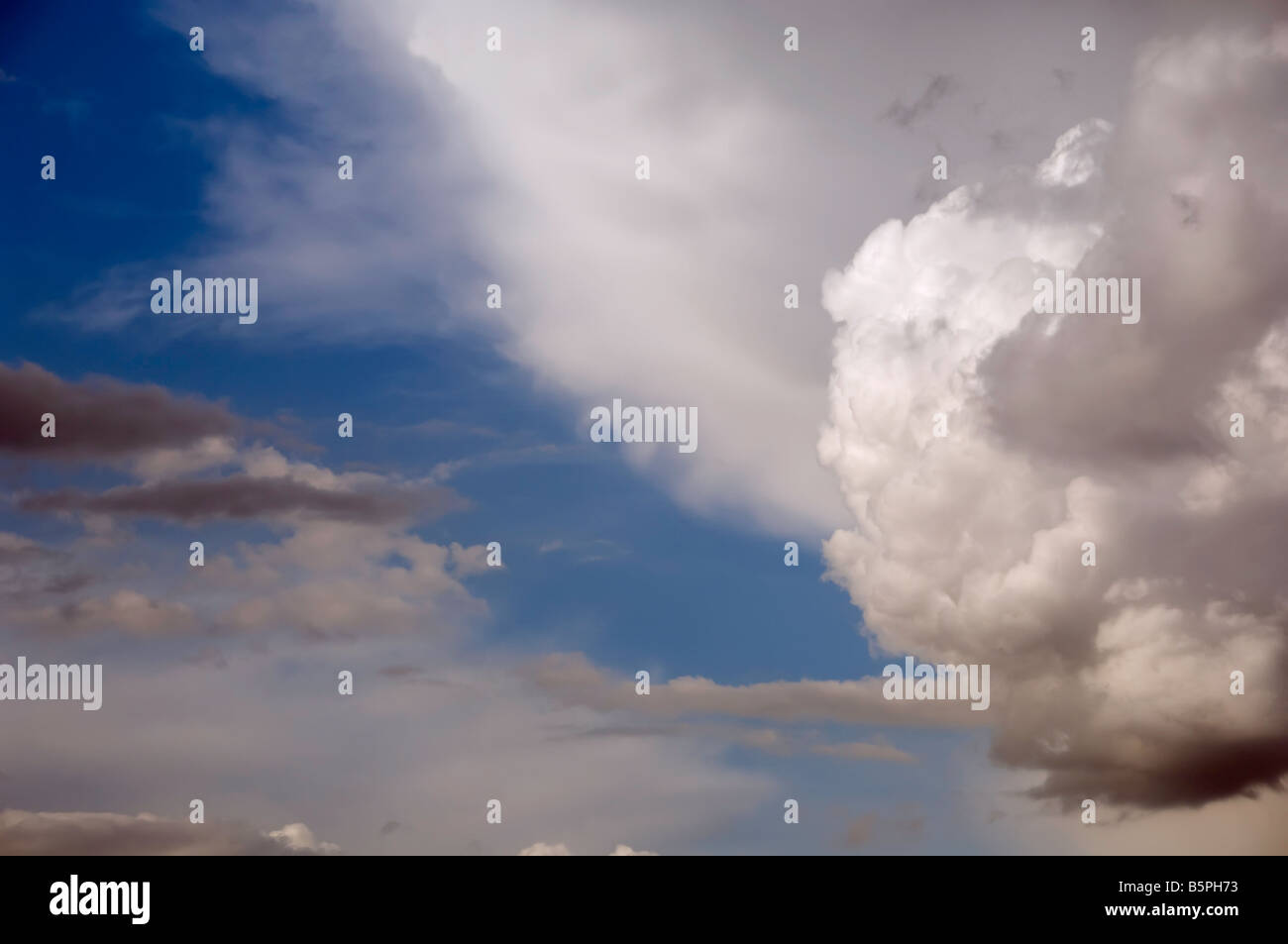 Sommerhimmel Stockfoto
