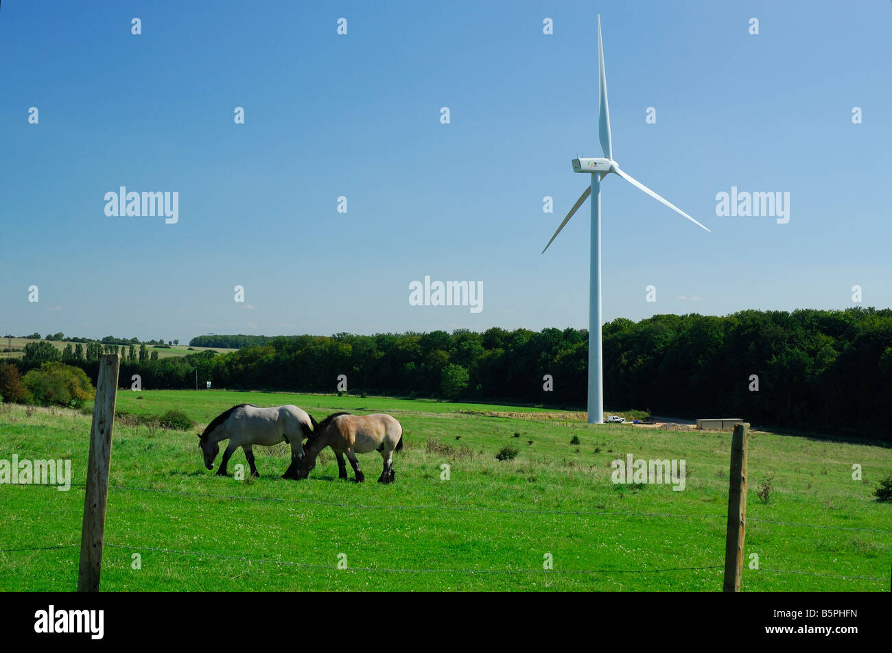 Zwei Zugpferde in einem grünen Feld mit einer Windturbine - Lothringen Frankreich Stockfoto