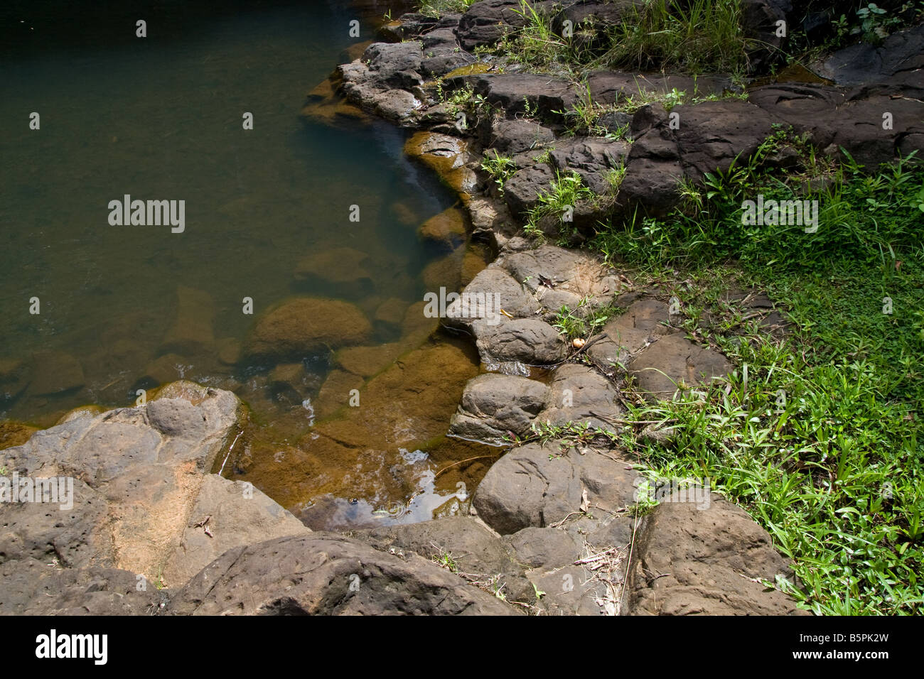 Ecke von einem Wasserfall Teich auf Kauai Stockfoto