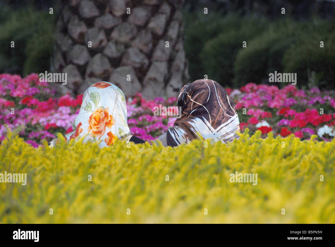 zwei Frauen tragen Headscarvess in einem Garten Stockfoto