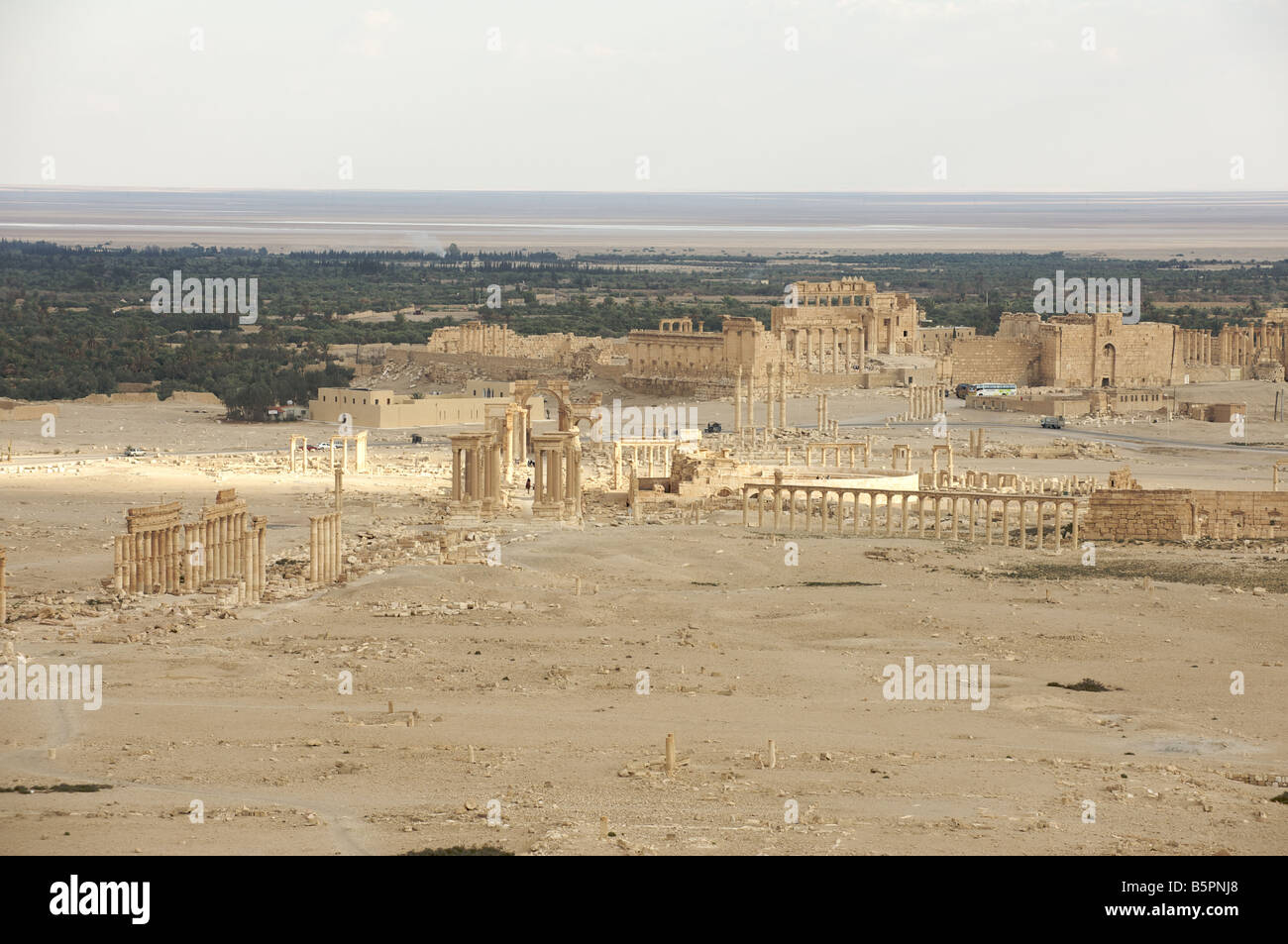 Palmyra-römische Ruinen erhöhten Blick Stockfoto