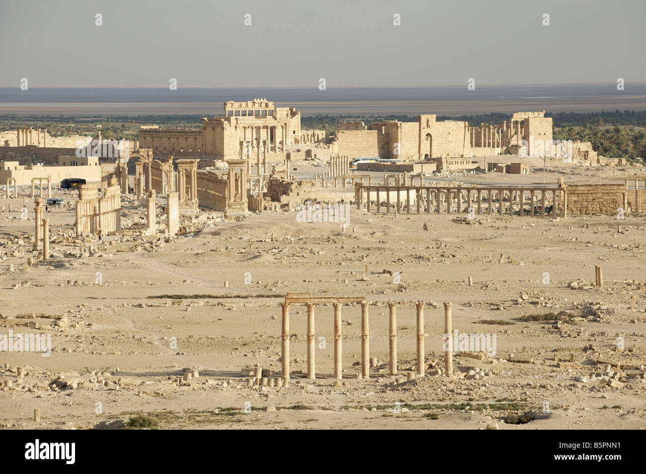 Palmyra Stockfoto