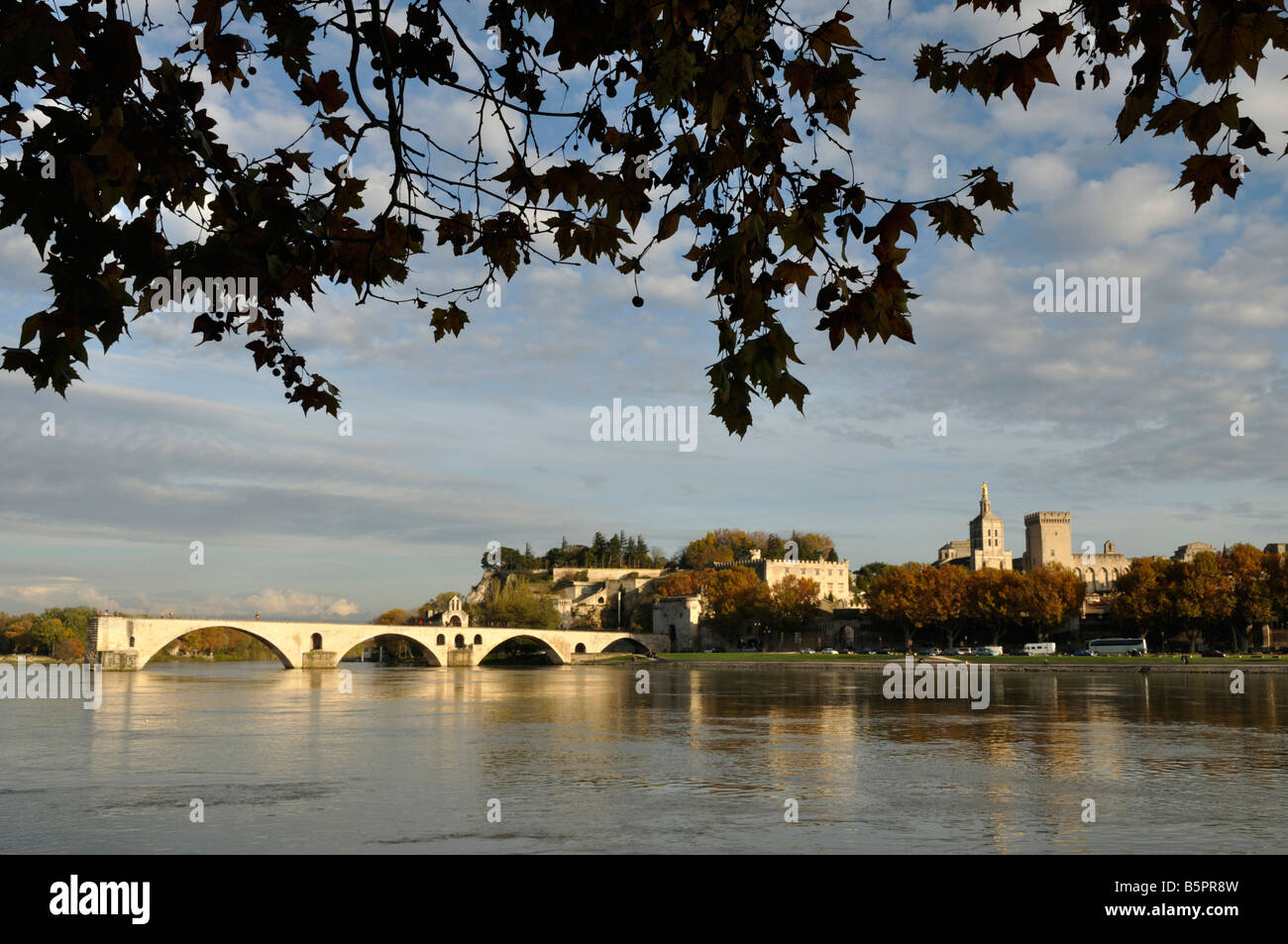 Pont Saint-Bénezet Avignon Frankreich Stockfoto