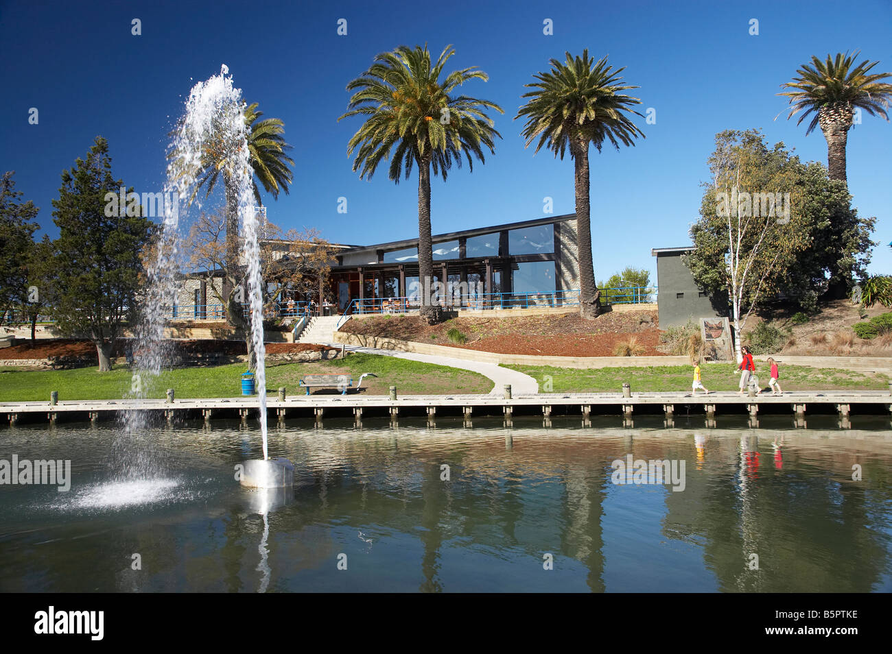 Cafe und Brunnen Riverside Park Taylor River Blenheim, Marlborough Südinsel Neuseeland Stockfoto