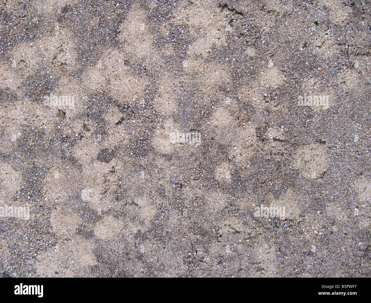 Grobe Betonmauer Stockfoto