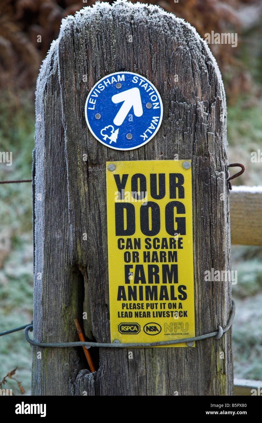 Wegweiser-Schild an einer Säule Stockfoto