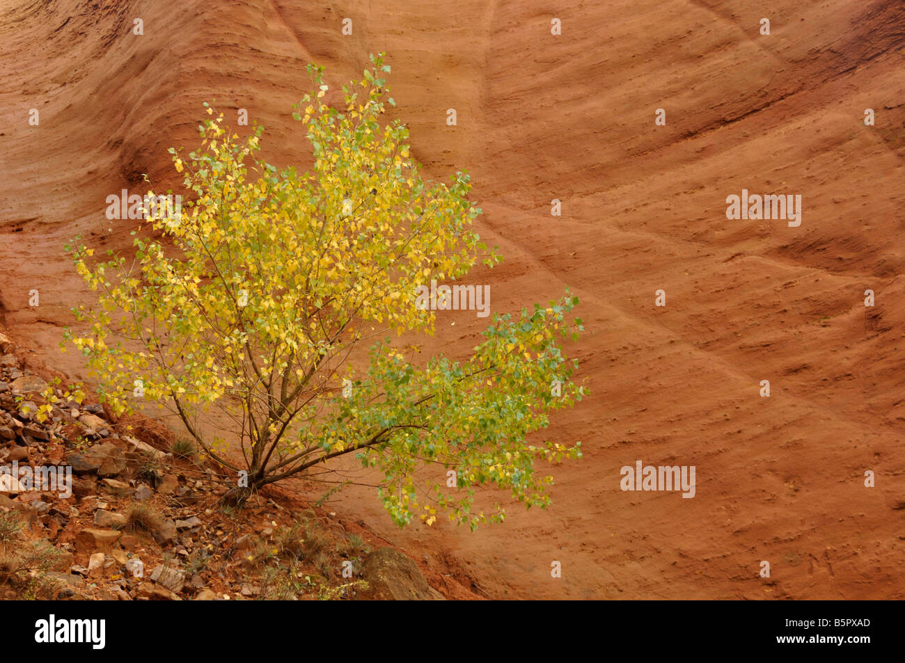 Ockerfarbenen Klippen Colorado Provencal Rustrel Provence Frankreich Stockfoto