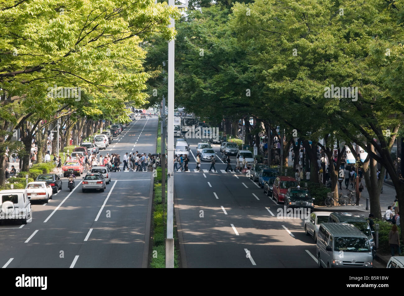 Omotesando Dori und Zebrastreifen Stockfoto