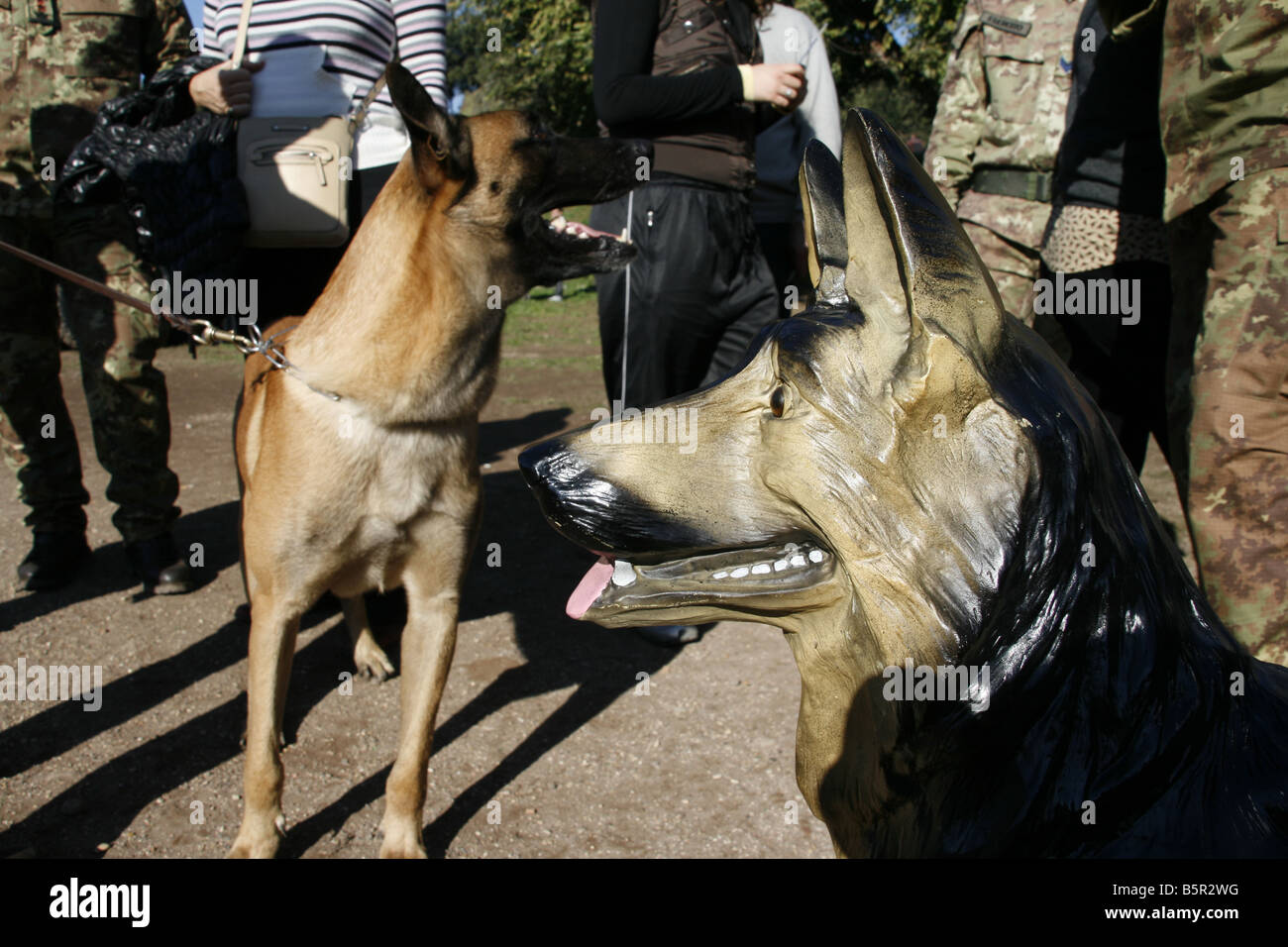 Kunststoff-Hund Statue am militärischen Tag der offenen Tür Stockfoto