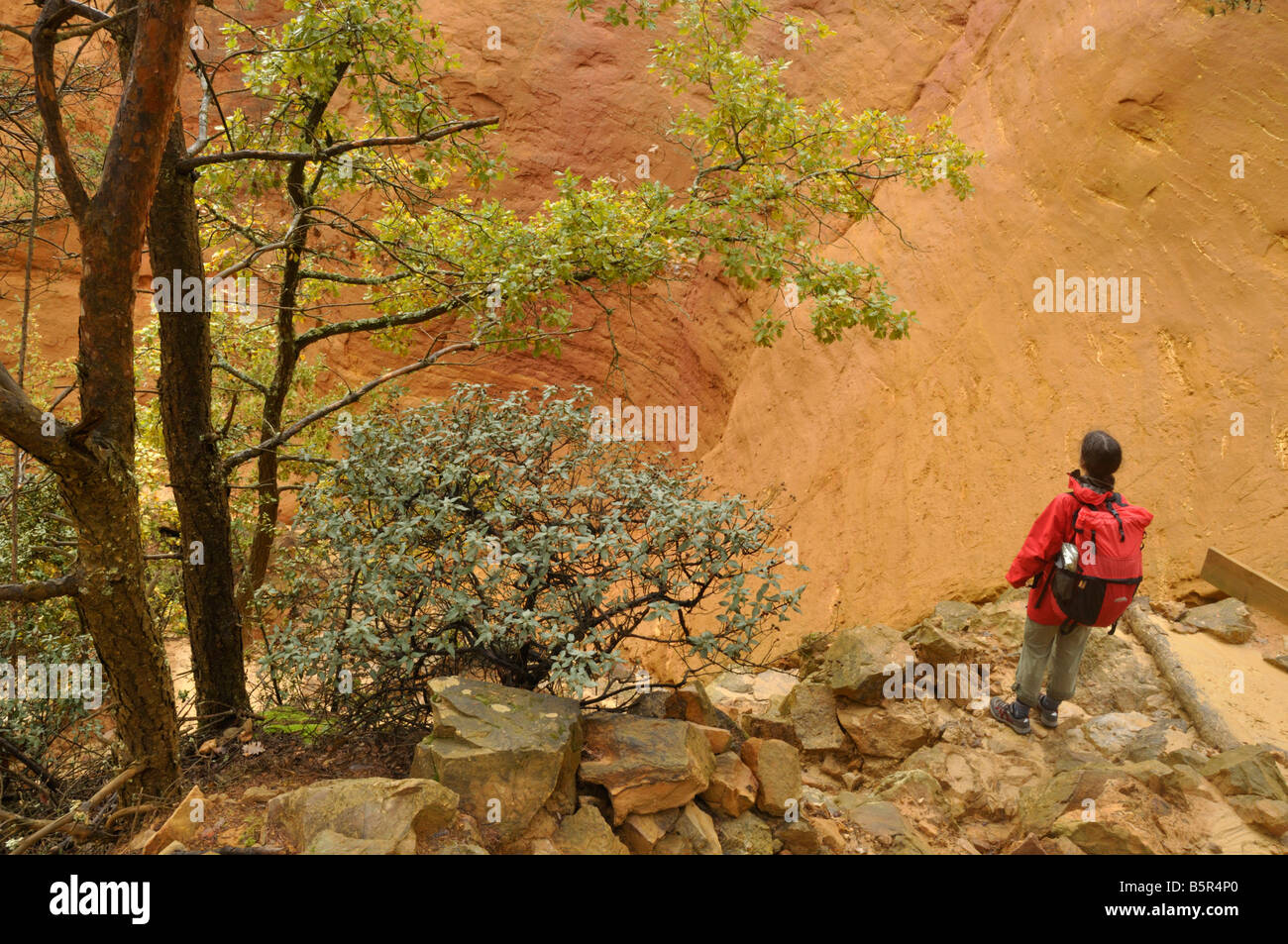 Ockerfarbenen Klippen Colorado Provencal Rustrel Provence Frankreich Stockfoto