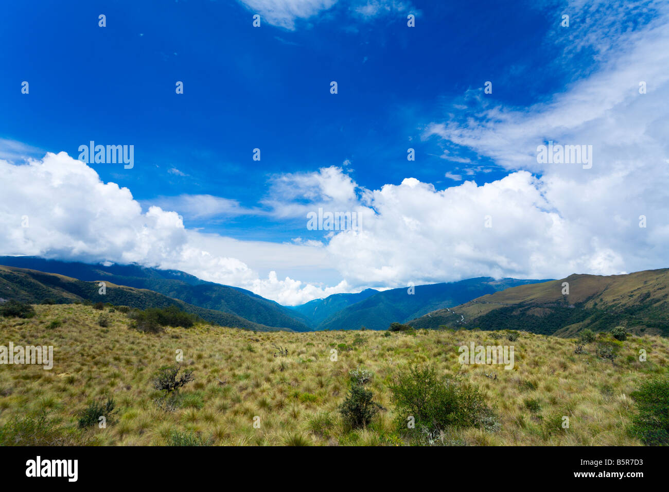 Manu Nationalpark Stockfoto