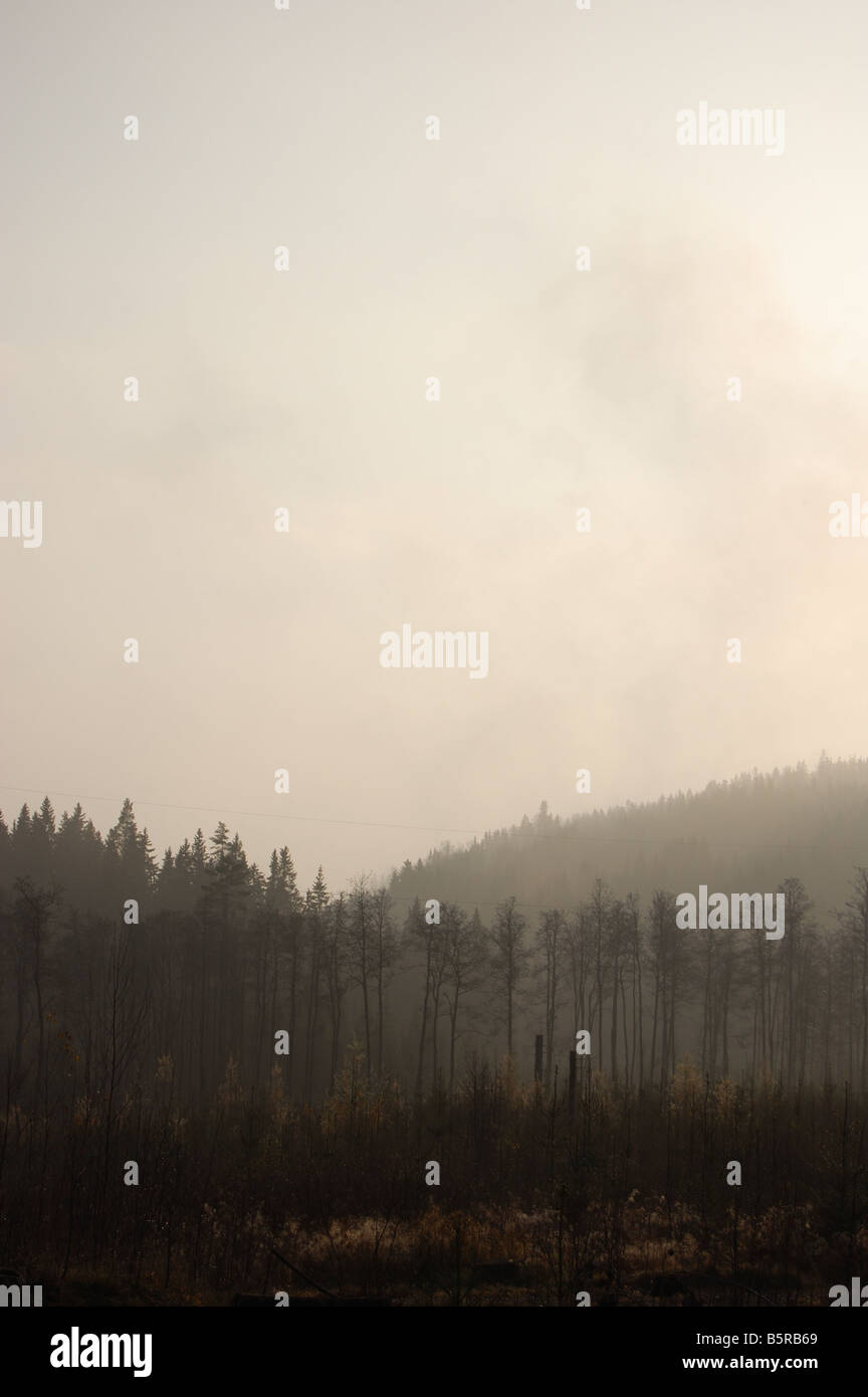 Nördlichen europäischen Landschaft Stockfoto