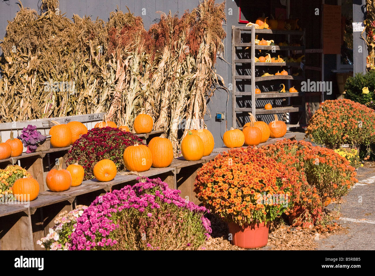 Herbsternte New England Farm stehen in West Newbury, Massachusetts Stockfoto