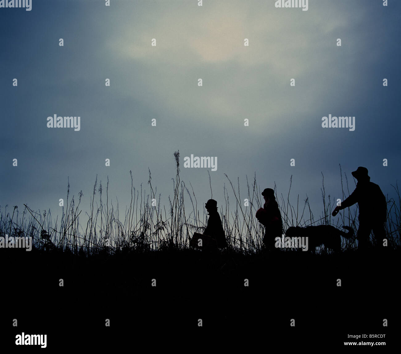 Teil einer Reihe von sieben Farbe Farbe Bilder einer Familie in der Silhouette, die zu Fuß durch lange Rasen im winter Stockfoto