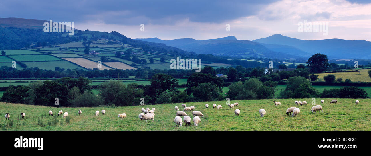 Die Black Mountains im Bannau Brycheiniog (Brecon Beacons) National Park aus Pencelli, Powys, Südwales Stockfoto