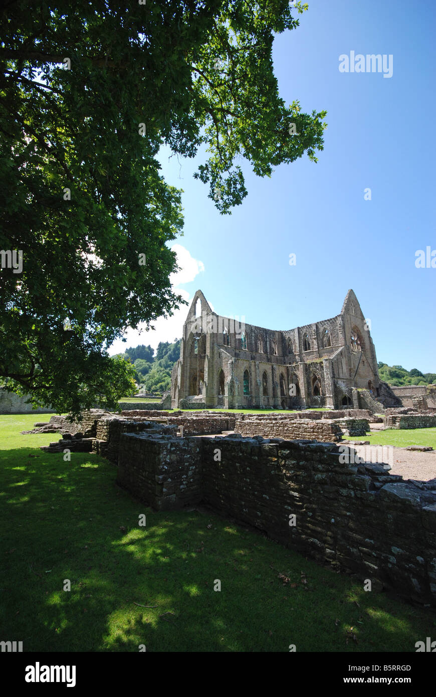 Ruinen von Tintern Abbey gegründet von den Zisterziensermönchen, Verlegung in das Angiddy-Tal an der Seite des Flusses Wye Stockfoto