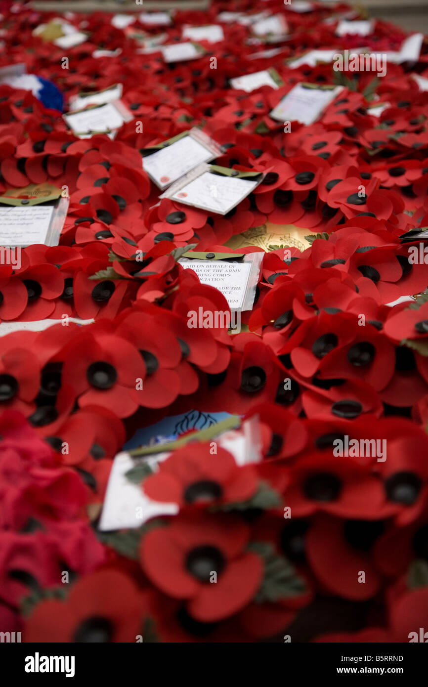 Hunderte von Mohn Kränze am Ehrenmal Whitehall London verlegt Stockfoto
