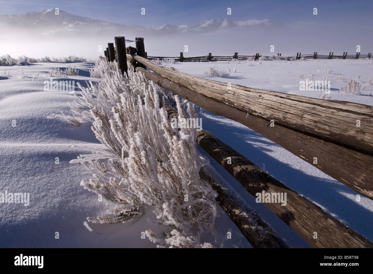 Zaunlinie im Winter, Lamar Buffalo Ranch, Yellowstone Association, Yellowstone-Nationalpark, Wyoming. Stockfoto