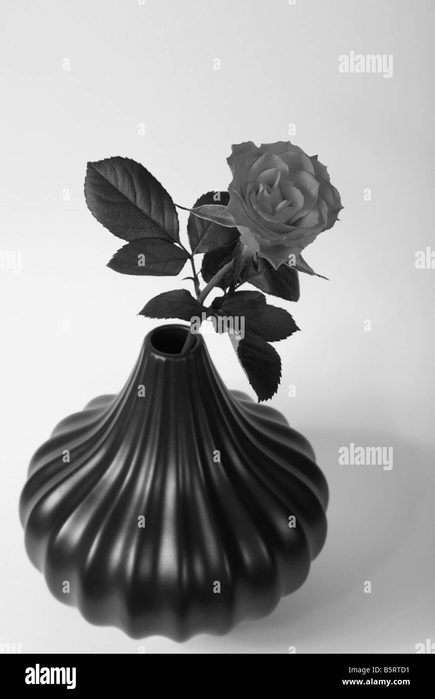 einzelne rote rose in dunkle braune Vase, Monochrom Stockfoto