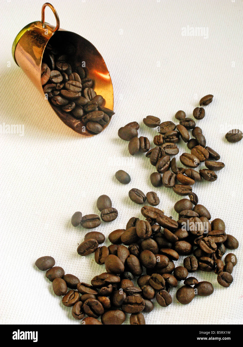 Kultige Brasilien frischen Kaffeebohnen Stockfoto
