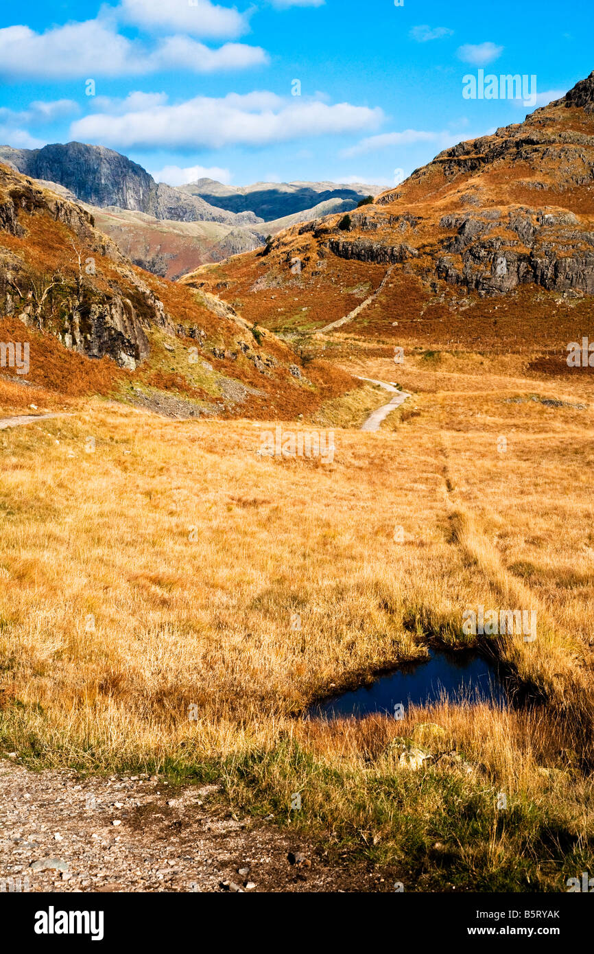 Adlerfarn bedeckt Fjälls in der Herbstsonne im Lake District National Park, Cumbria, England, UK mit Blick auf saisonabhängige Stockfoto