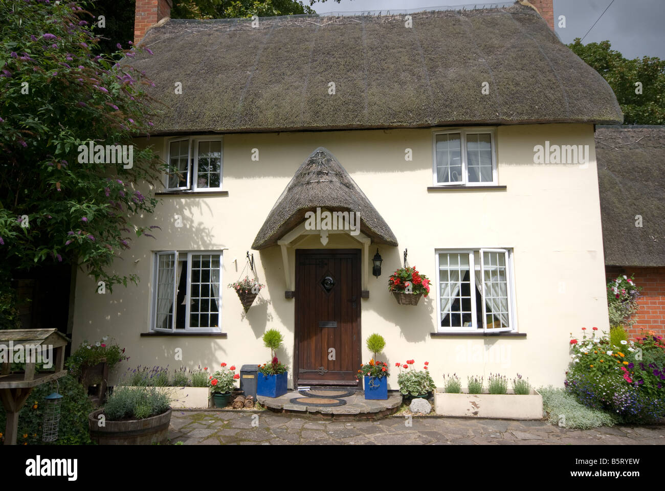 Traditionelle englische Thatched cottage Stockfoto