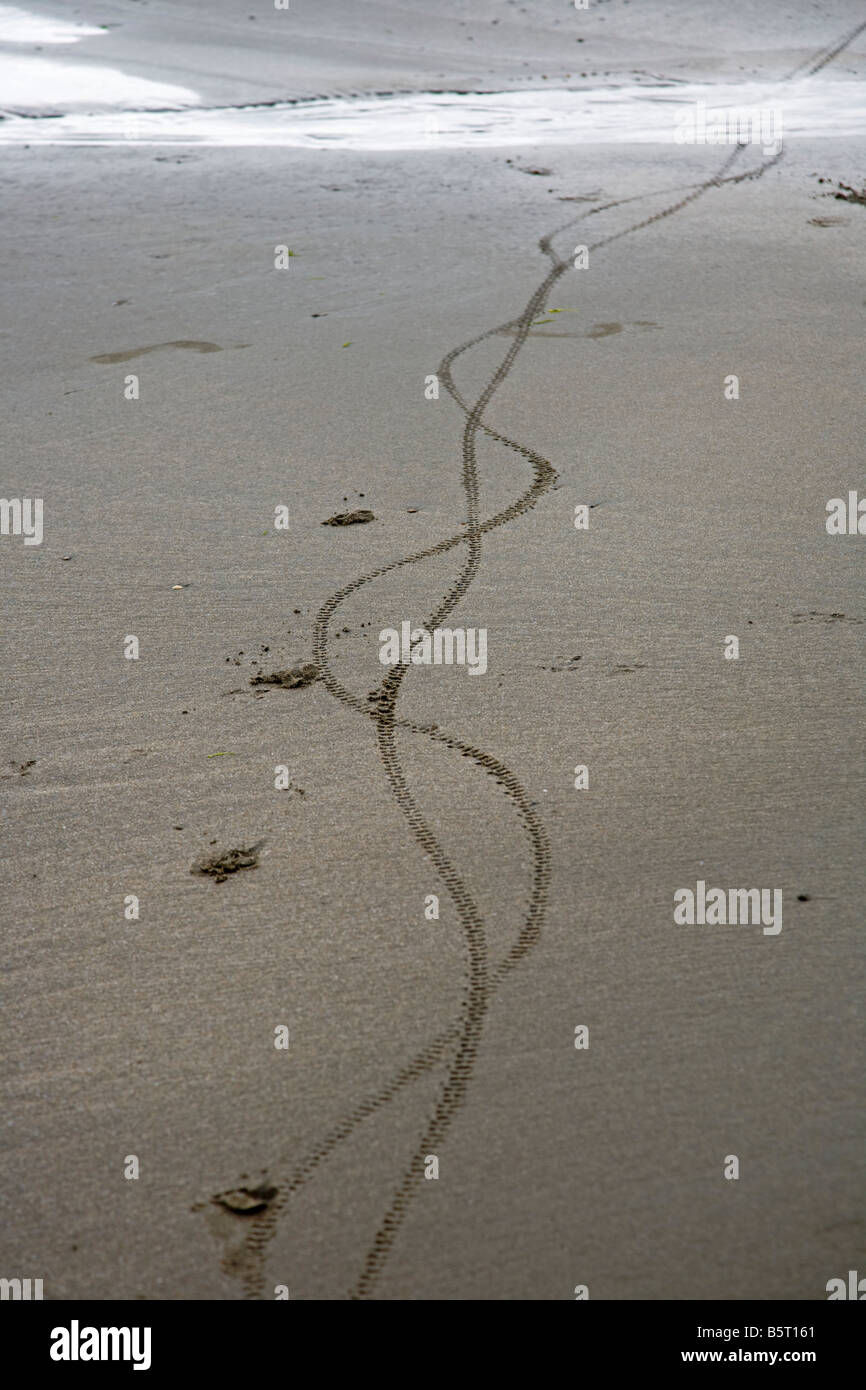 Poppit Sands Cardigan Bay Wales UK Stockfoto