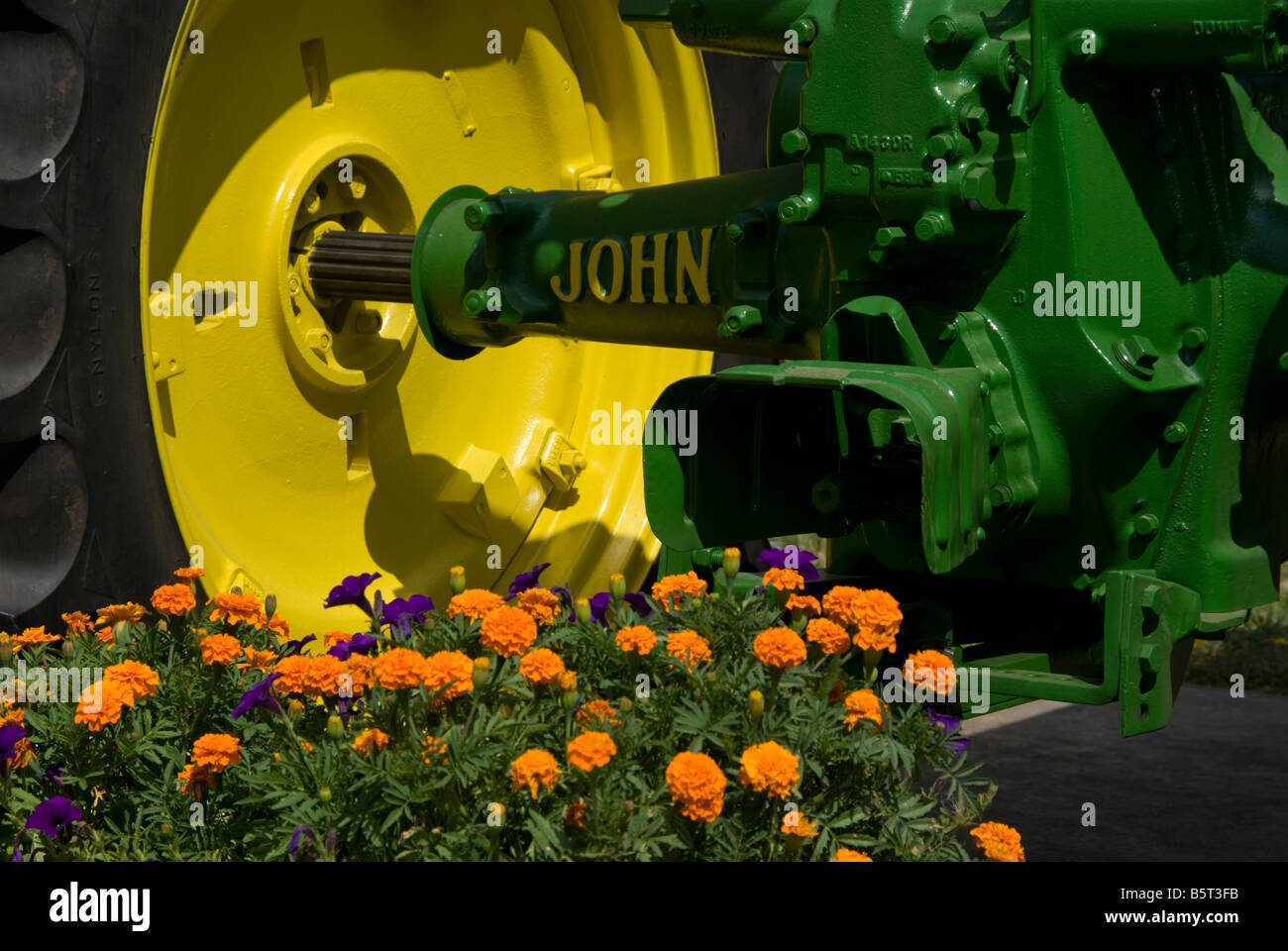 Traktor und Blumen Stockfoto