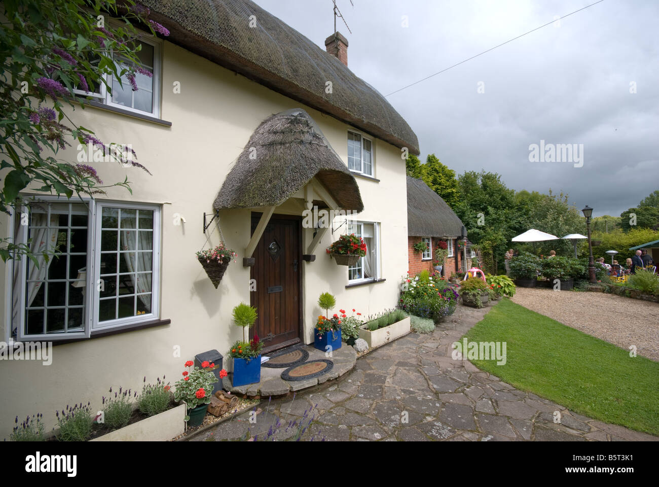 Traditionelle englische Thatched cottage Stockfoto