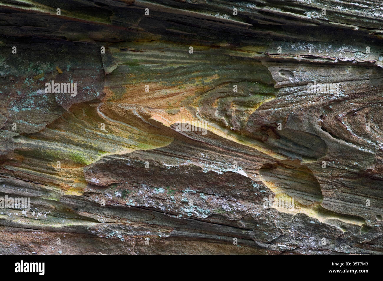 Detail - Sandstein an Wildcat Den Staatspark, Iowa Stockfoto