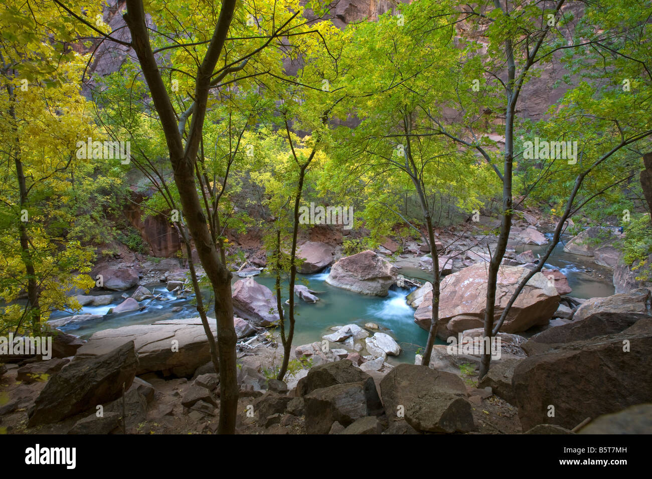 Riverside Walk Zion Nationalpark, Utah Stockfoto