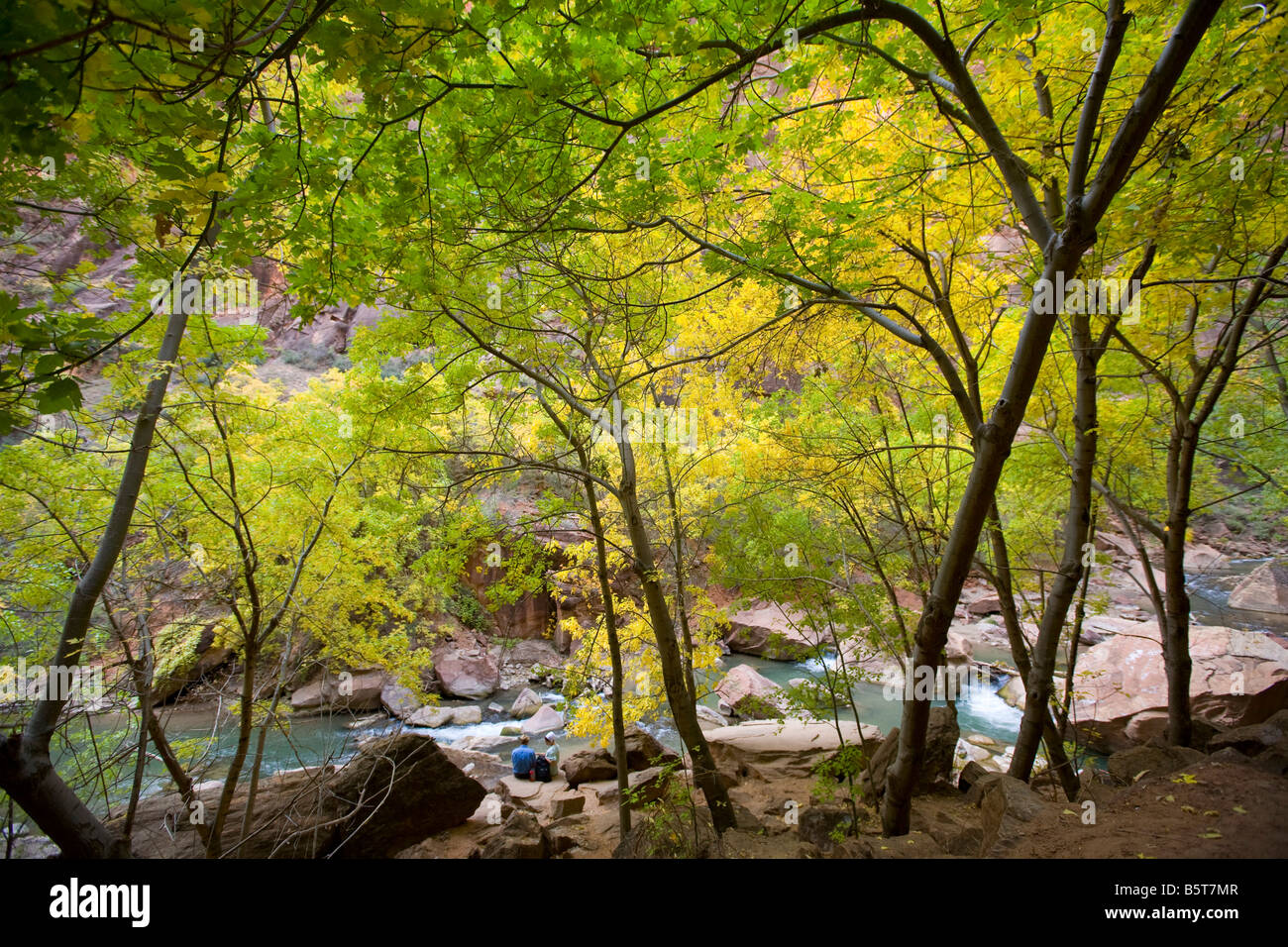 Riverside Walk Zion Nationalpark, Utah Stockfoto