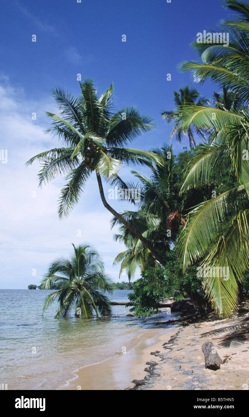 Playa Matapalo zentrale Pazifikküste Costa Rica Mittelamerika Stockfoto