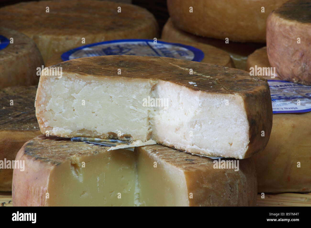 Lokal hergestellte Käse auf dem Display im Shop in Guia auf Gran Canaria auf den Kanarischen Inseln Stockfoto