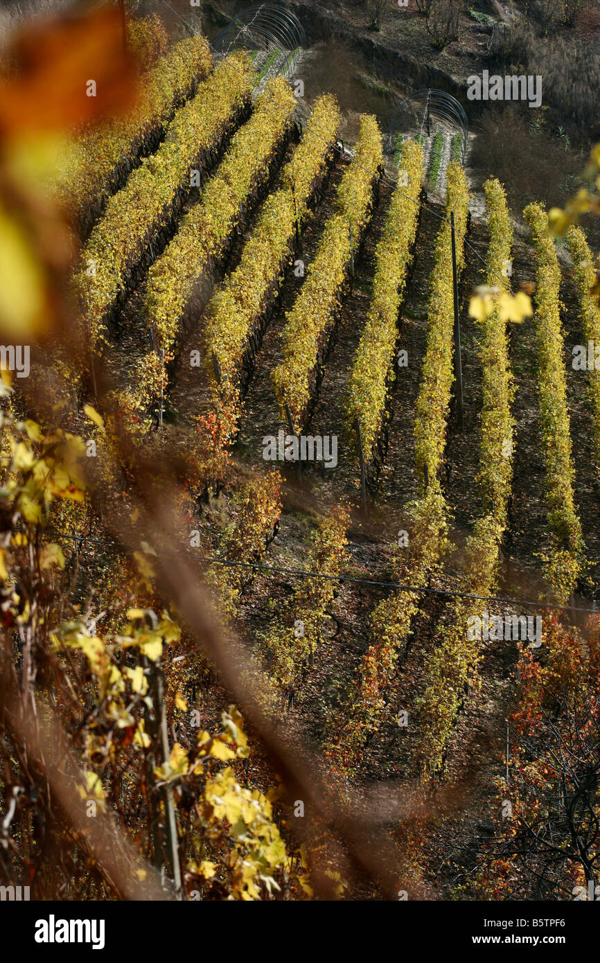 Roero, Piemont, Italien. Stockfoto