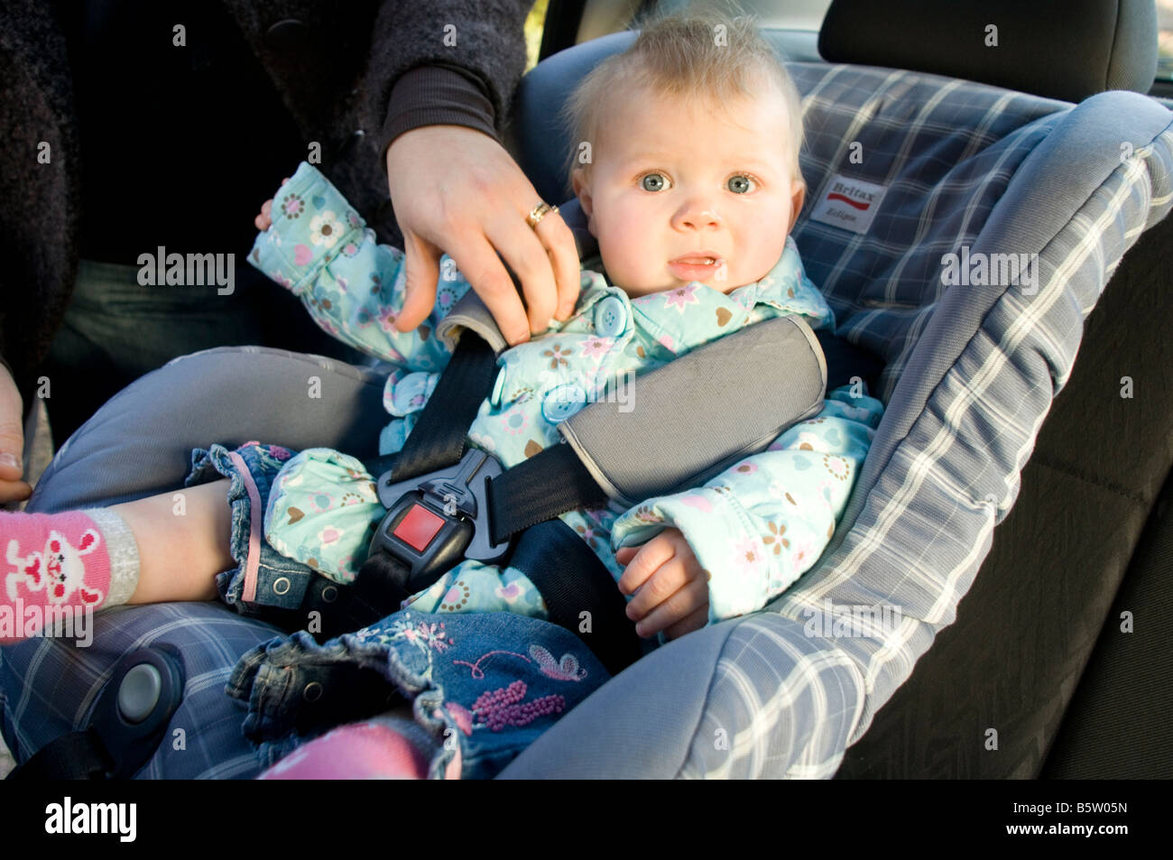Kind Sitz Kind Baby Auto in Sicherheit sicher angeschnallt Gurt  Sicherheitsgurt Gurt Kinderstuhl Stuhl Gurt Isofix Zubehör Unfall cr  Stockfotografie - Alamy