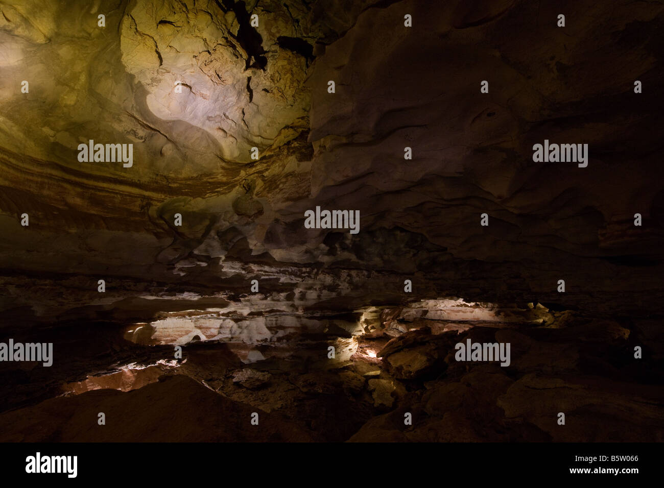 Messegelände, Wind Cave National Park, South Dakota Stockfoto