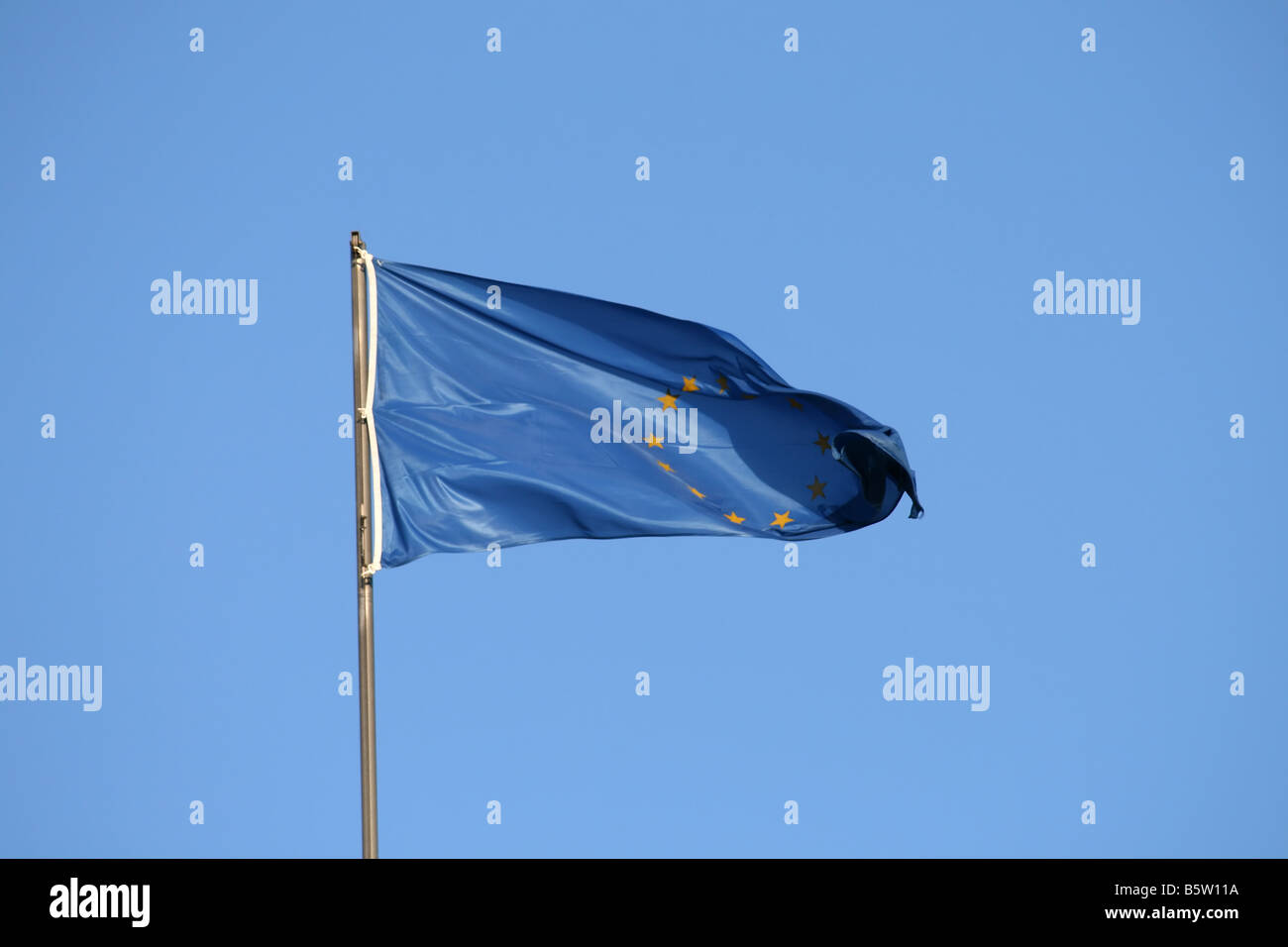 EU-Flagge auf den Wind gelben Sternen Stockfoto