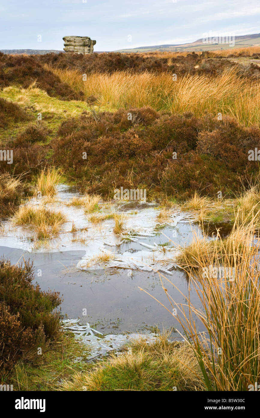 Der Adler Stein Eaglestone Wohnung am Baslow Rand im Peak District in Derbyshire Stockfoto