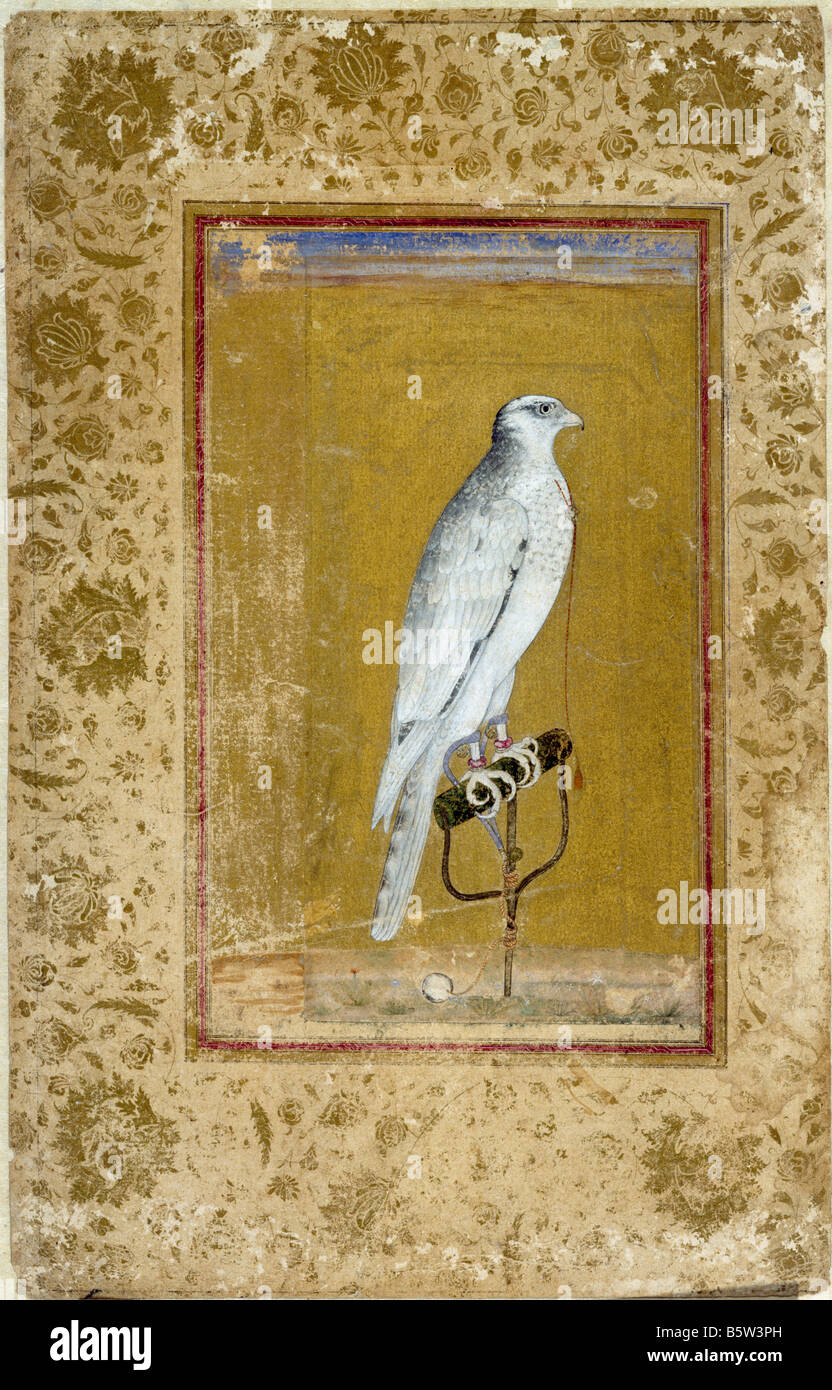 Vogel-Studien & Kalligraphie islamische Buchillustration. Aus Golcanda ca. 1670 n. Chr.. National Museum of New Delhi-Indien. 58,20/25 b 3 Stockfoto
