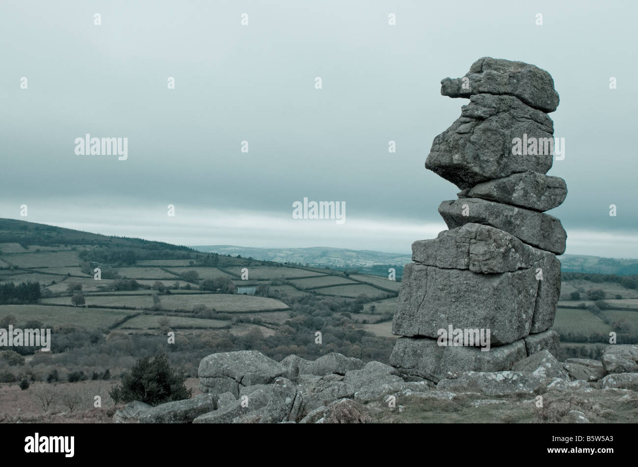 Bowermans Nase im Dartmoor National Park Stockfoto