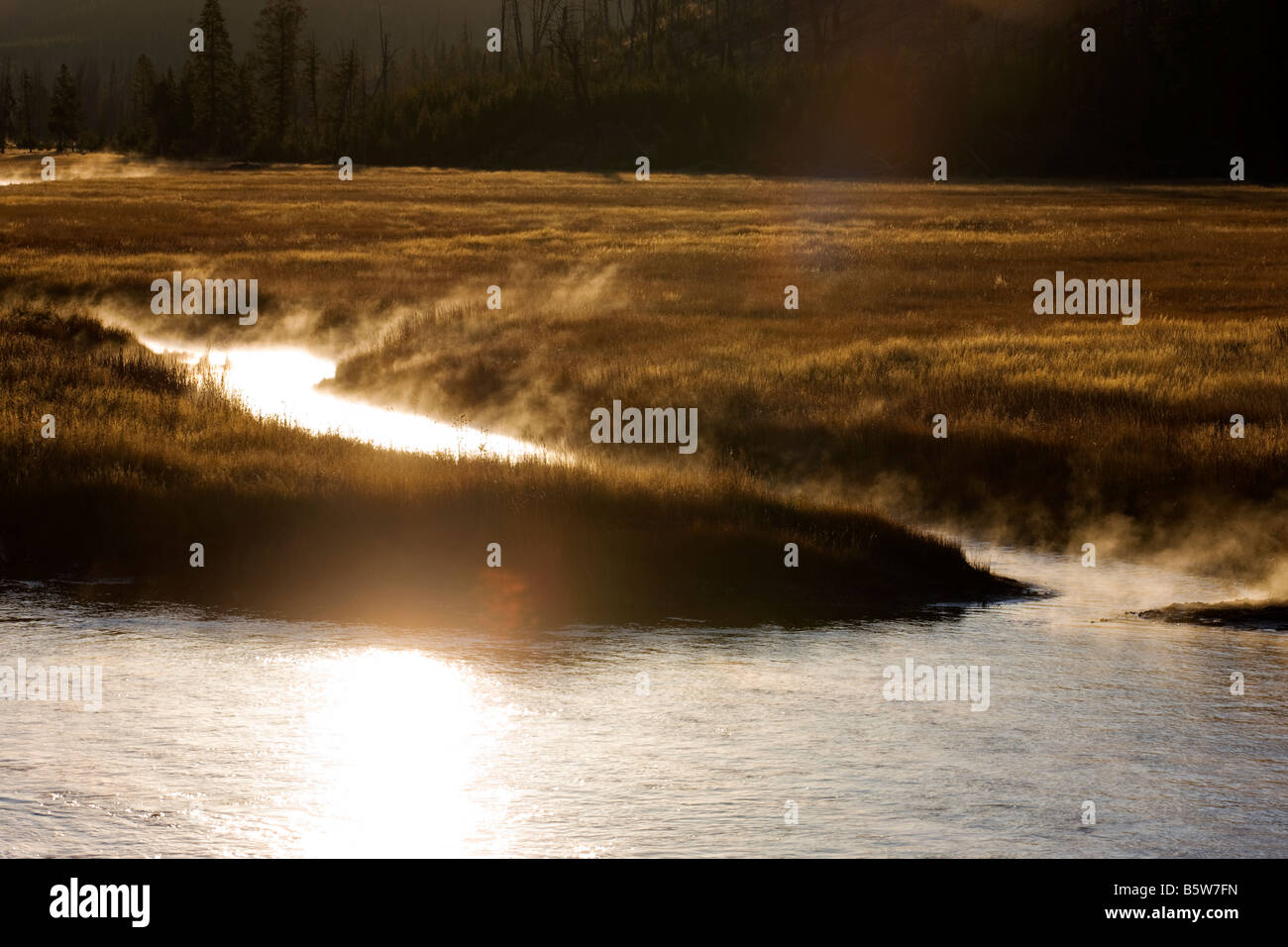 Dampf steigt aus dem Madison River bei Sonnenaufgang, Yellowstone-Nationalpark, Wyoming, USA Stockfoto