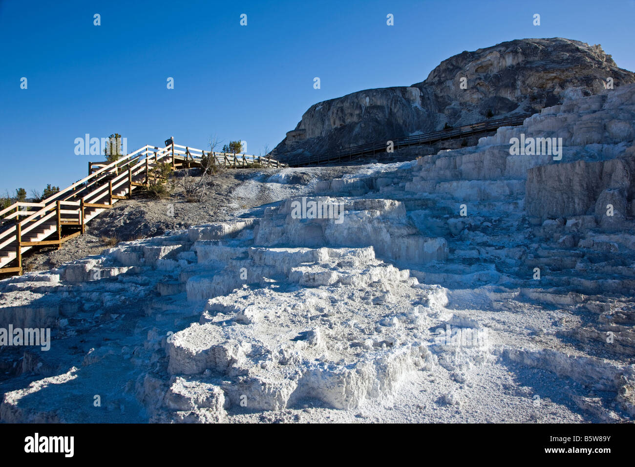 Minerva Terrasse, Mammoth Hot Springs, Yellowstone-Nationalpark; Wyoming; USA; Stockfoto