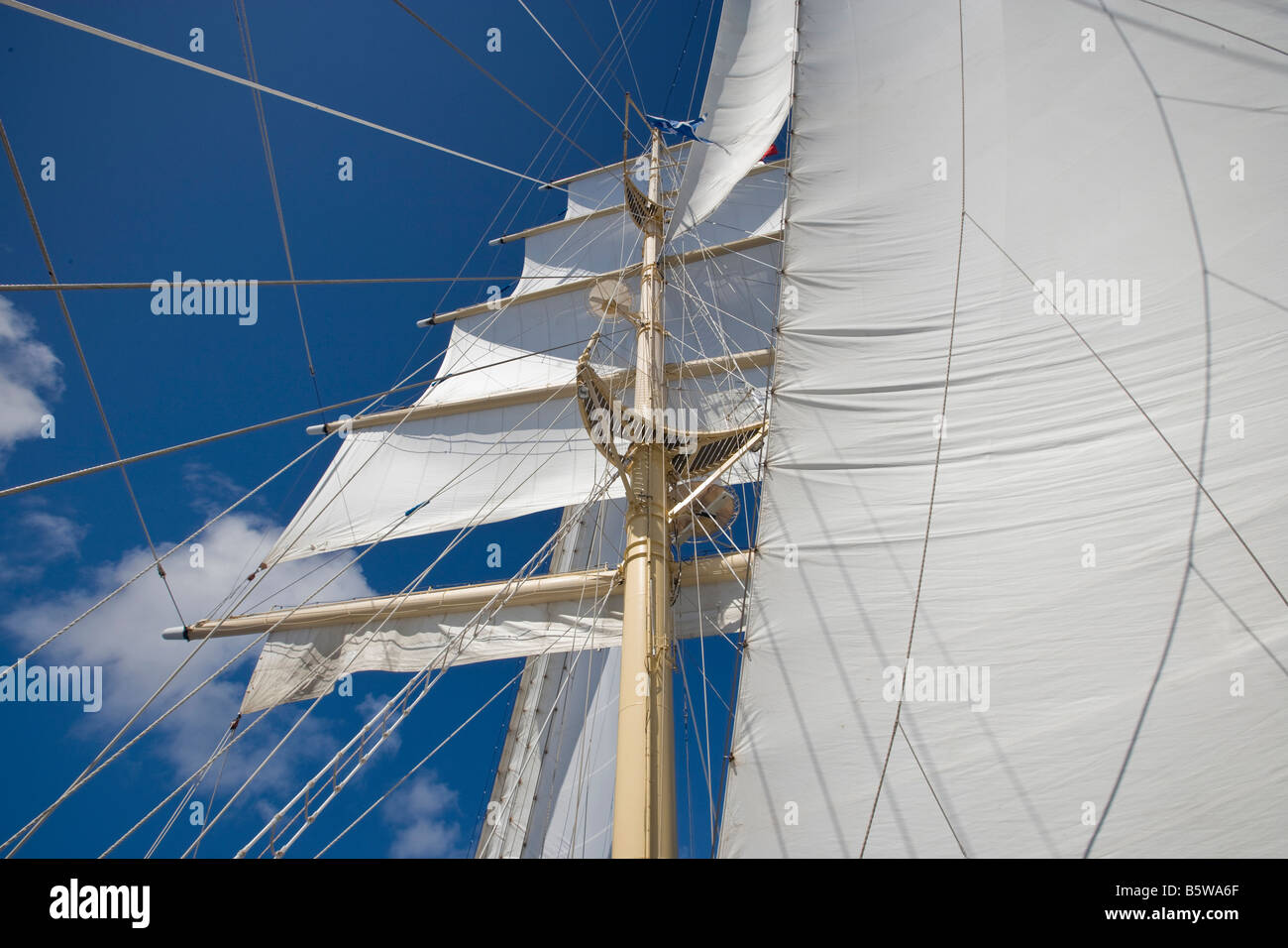 Segel an Bord der Star Flyer ein Clipper-Segelschiff Stockfoto