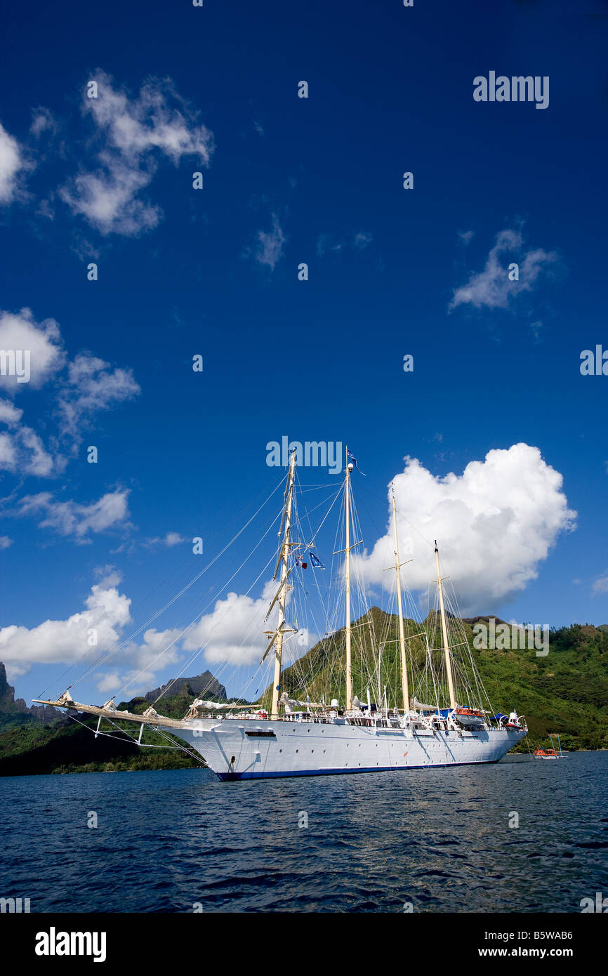 Segelschiff, Star Flyer, vor Anker Stockfoto
