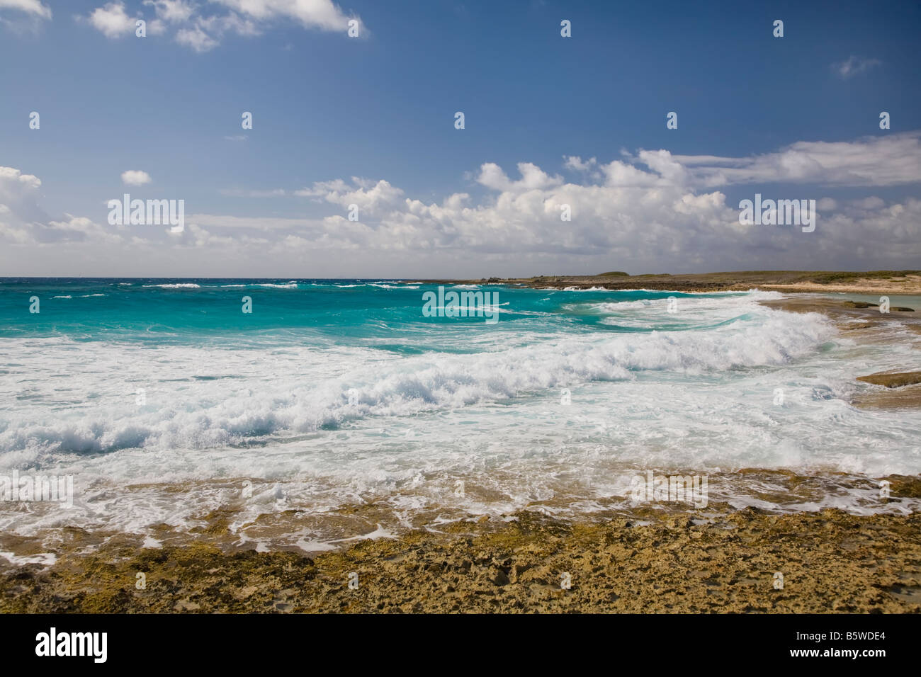 Raue Felsküste am östlichen Ende von der karibischen Insel Anguilla in den British West Indies Stockfoto