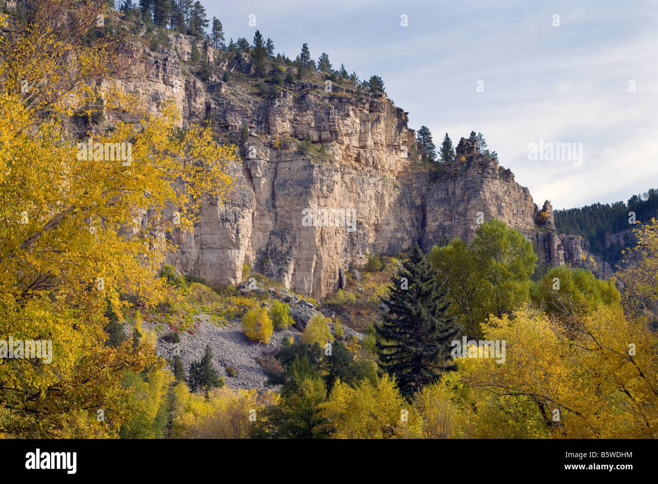 Bluff in Spearfish Canyon, Spearfish Canyon, Black Hills National Forest, South Dakota Stockfoto