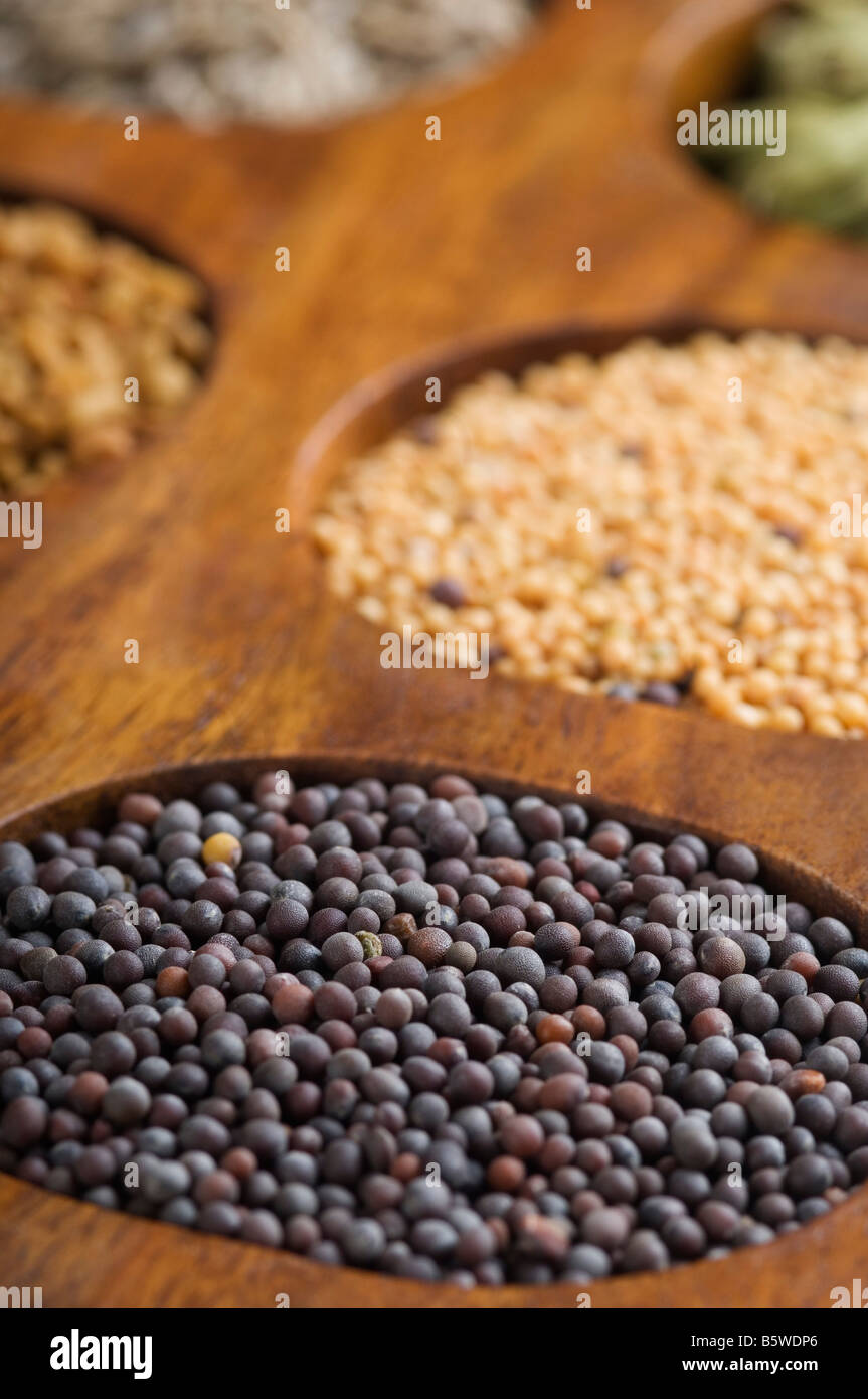 Nahaufnahme der schwarze Senfsamen in einem Gewürz-container Stockfoto